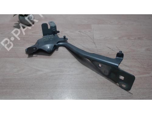 Used Hinge/Door check strap RENAULT SCÉNIC III (JZ0/1_) 1.5 dCi (110 hp) 25386114