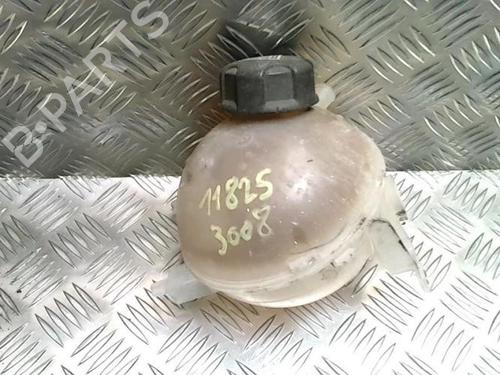 Expansion tank PEUGEOT 3008 I MPV (0U_) 1.6 HDi | BP25731341C120 