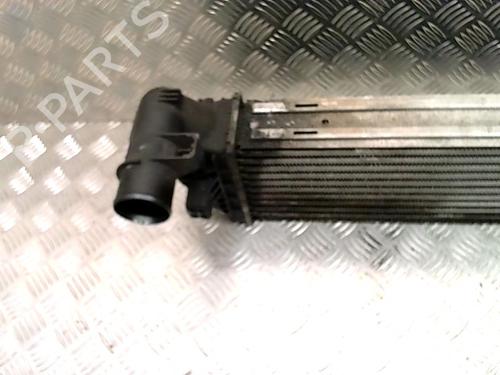 Intercooler RENAULT ESPACE IV (JK0/1_) 2.0 dCi (JK01, JK02, JK1J, JK1K, JK1H) | BP32262844M30 