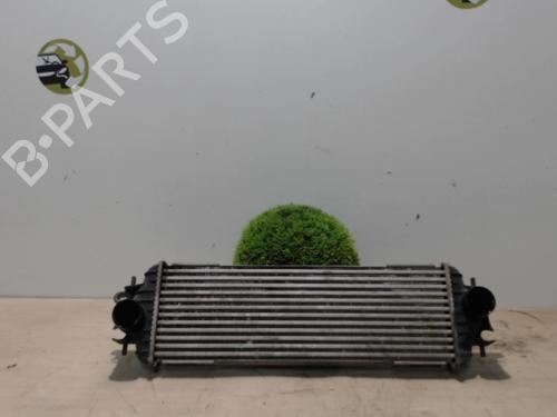 Used Intercooler RENAULT TRAFIC II Van (FL) 1.9 dCi 100 (FL0C, FL0K, FL0B) (101 hp) 25391607