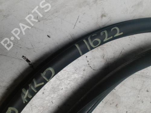 Gummiliste DACIA SANDERO 1.5 dCi | BP25426240C142