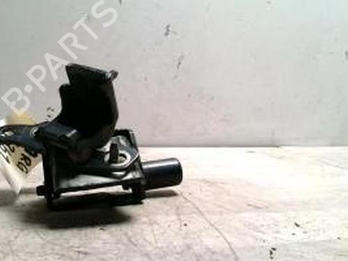 Used Hinge/Door check strap RENAULT CLIO III (BR0/1, CR0/1) 1.5 dCi (BR17, CR17) (86 hp) 25424383