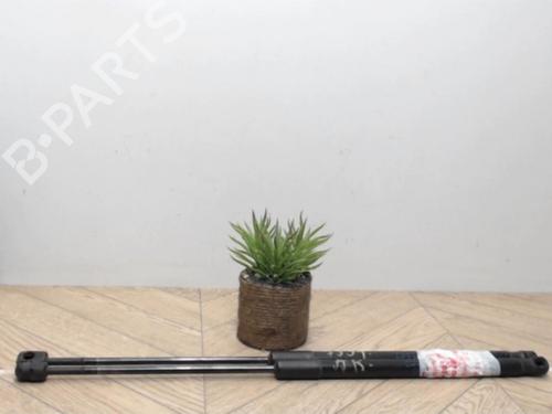 Gassdemper Bakluke DACIA SANDERO 1.4 MPI LPG (72 hp) 25388281