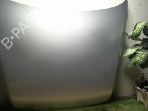 Hood VW TOUAREG (7LA, 7L6, 7L7) 5.0 V10 TDI | BP31233873C1 