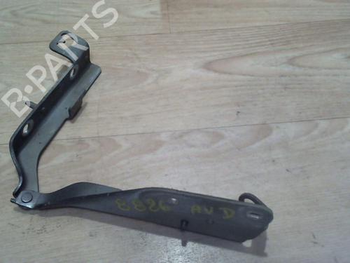 hingedoor-check-strap-citroen-c3-i-fc_-fn_-2002-2003-2004-2005-2006-2007-2008-2009-2010-2011-2012-2013-25384637 main image