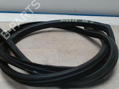 Gummiliste MITSUBISHI GRANDIS (NA_W) 2.0 DI-D (NA8W) (136 hp) 25421277