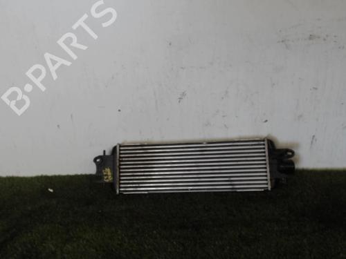 Intercooler RENAULT TRAFIC II Van (FL) 2.5 dCi 135 (FL0D) | BP25395762M30