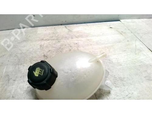 Expansion tank RENAULT CLIO IV (BH_) 1.5 dCi 75 | BP25424269C120 