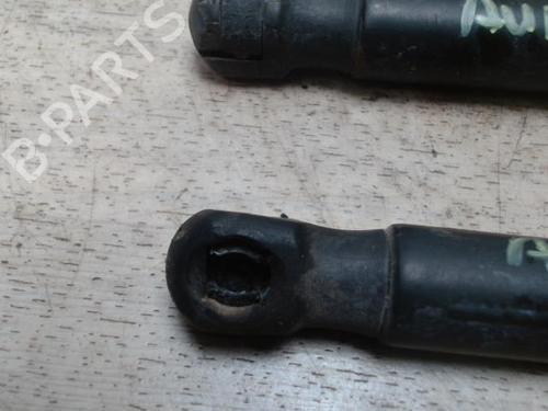 Tailgate lift support AUDI A4 B5 (8D2) 2.5 TDI quattro | BP31221915C138