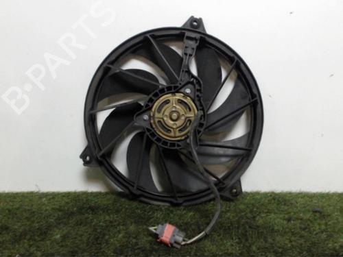 Elektronische module PEUGEOT 206 Hatchback (2A/C) 2.0 HDI 90 | BP25394883M83 