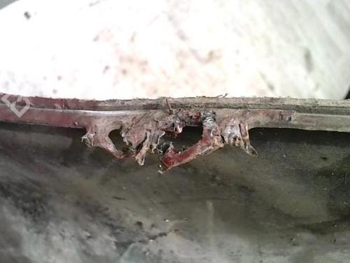 Rear bumper HYUNDAI COUPE I (RD) 1.6 i 16V | BP26731695C8 