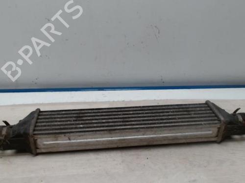Intercooler FIAT GRANDE PUNTO (199_) 1.3 D Multijet | BP28373993M30 