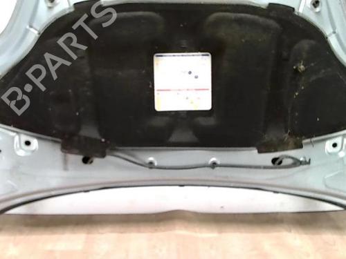 Hood FIAT GRANDE PUNTO (199_) 1.3 D Multijet | BP28021271C1