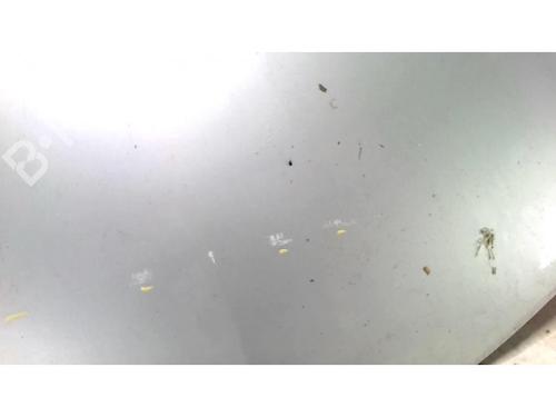 Hood RENAULT CLIO III (BR0/1, CR0/1) 1.2 16V (BR02, BR0J, BR11, CR02, CR0J, CR11) | BP25428728C1 