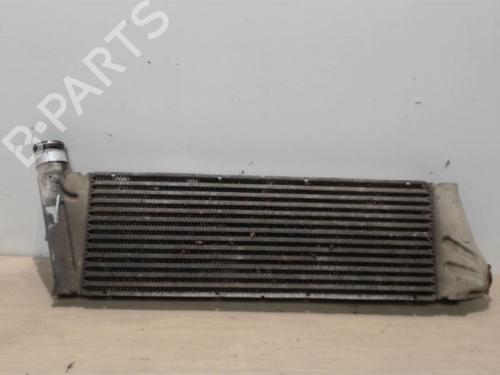Used Intercooler RENAULT MEGANE II (BM0/1_, CM0/1_) 1.5 dCi (BM0F, BM0T, BM2B, CM0F, CM0T) (82 hp) 25391899