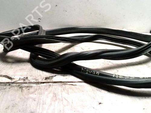 Rubber door seal VW TIGUAN (5N_) 2.0 TDI | BP31233853C142