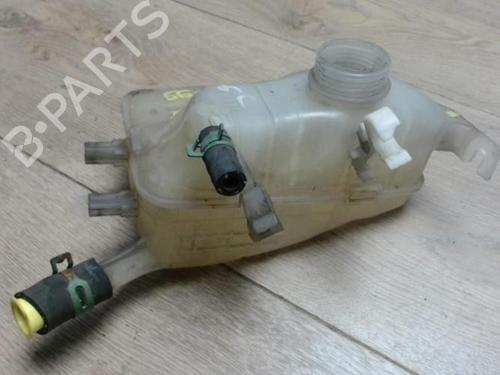 Expansion tank RENAULT SCÉNIC III (JZ0/1_) 1.5 dCi | BP29053003C120 