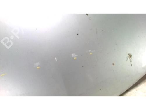Hood RENAULT CLIO III (BR0/1, CR0/1) 1.2 16V (BR02, BR0J, BR11, CR02, CR0J, CR11) | BP25428728C1 