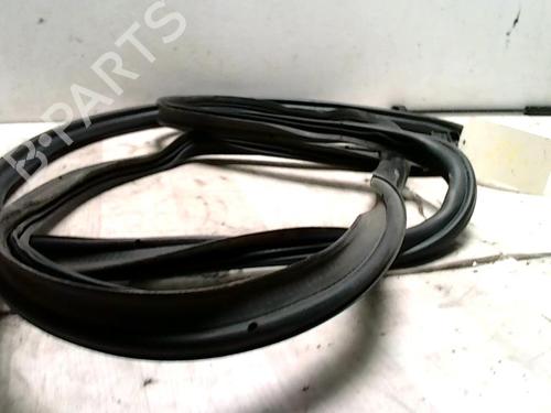 Rubber door seal VW TIGUAN (5N_) 2.0 TDI | BP31233853C142