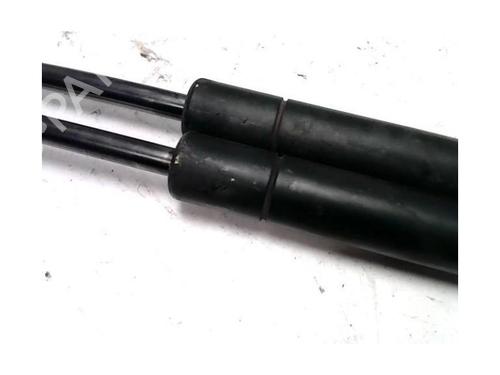 Tailgate lift support RENAULT SCÉNIC II (JM0/1_) 1.5 dCi (JM1E, JM16) | BP25416369C138 