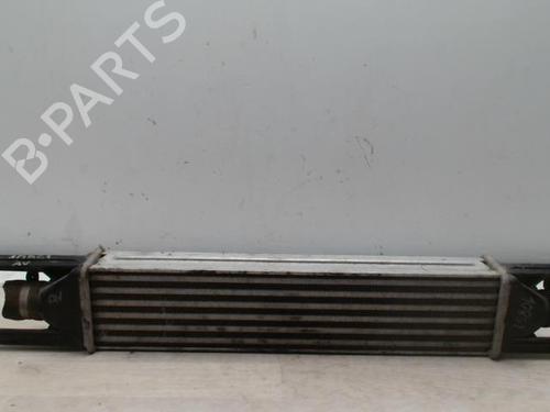 Used Intercooler FIAT GRANDE PUNTO (199_) 1.3 D Multijet (75 hp) 28373993