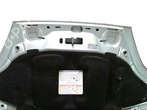 Hood FIAT GRANDE PUNTO (199_) 1.3 D Multijet | BP28021271C1