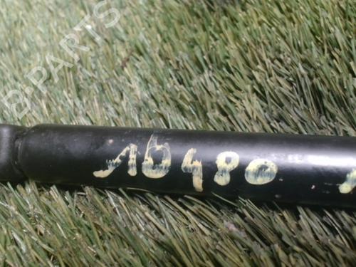 Used Tailgate lift support CITROËN AX (ZA-_) 11 (54 hp) 29058315