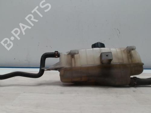 Used Expansion tank RENAULT CLIO III (BR0/1, CR0/1) 1.5 dCi (C/BR0G, C/BR1G) (68 hp) 25419330