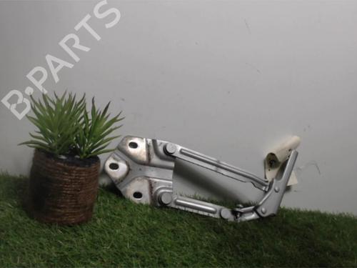 Hinge/Door check strap VW TOURAN (1T1, 1T2) 1.9 TDI | BP25393063C146 