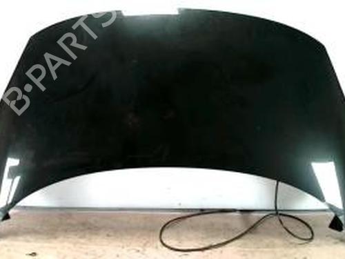 Used Hood RENAULT SCÉNIC III (JZ0/1_) 1.9 dCi (JZ0J, JZ1J, JZ1K, JZ1S) (131 hp) 25421178