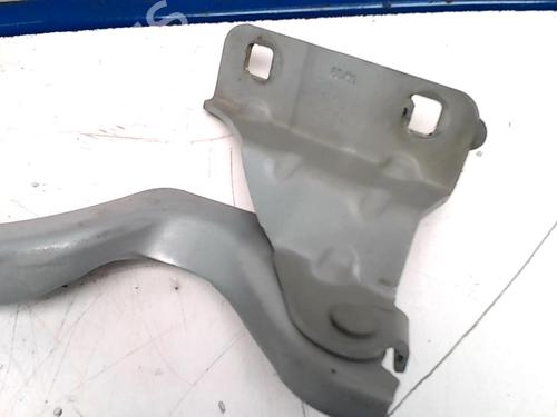 Used Hinge/Door check strap NISSAN QASHQAI I (J10, NJ10) 2.0 dCi (150 hp) 31227467