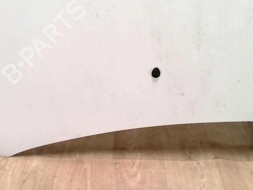 hood-renault-clio-iii-br01-cr01-2005-2006-2007-2008-2009-2010-2011-2012-2013-2014-31229830 main image