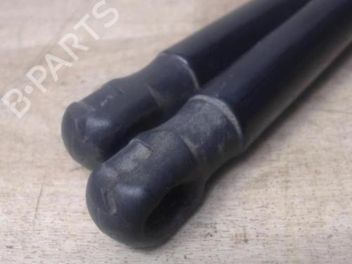 Tailgate lift support CITROËN C4 II (NC_) 1.6 HDi 90 | BP29390908C138 