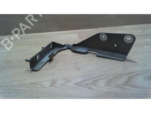 Hinge/Door check strap CITROËN C3 I (FC_, FN_) 1.4 HDi | BP25384638C146 