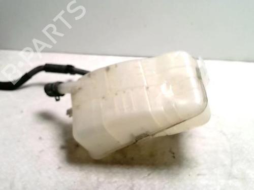 Expansion tank RENAULT MEGANE III Hatchback (BZ0/1_, B3_) 1.5 dCi | BP25428225C120