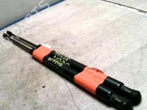 Used Tailgate lift support PEUGEOT 207 (WA_, WC_) 1.6 HDi (92 hp) 25424443