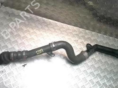 Used Pipe RENAULT SCÉNIC III (JZ0/1_) 1.5 dCi (110 hp) 26317003
