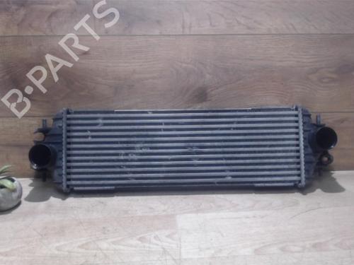 Ladeluftkühler für RENAULT TRAFIC II Bus (JL) 1.9 dCI 100 (JL0C) (101 hp) 25384767