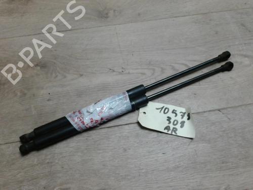 Used Tailgate lift support PEUGEOT 308 I (4A_, 4C_) 1.6 HDi (90 hp) 29054005