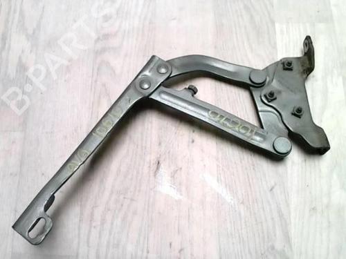 Hinge/Door check strap OPEL CORSA D (S07) 1.2 LPG (L08, L68) | BP25419087C146 