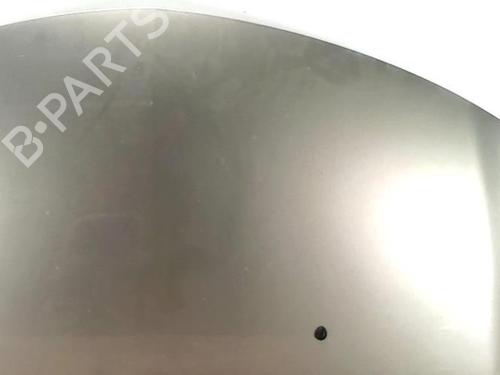 Hood RENAULT CLIO III (BR0/1, CR0/1) 1.5 dCi (C/BR0G, C/BR1G) | BP25419146C1 