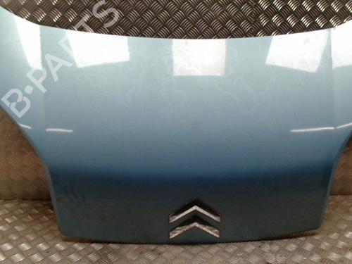 Capot Capot CITROËN NEMO MPV 1.3 HDi 75 (75 hp) 34005684 34005684
