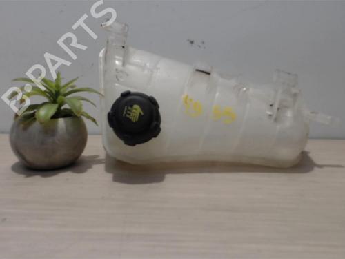 Expansion tank RENAULT KANGOO Express (FW0/1_) 1.5 dCi 75 (FW07, FW10, FW04) | BP25392213C120 