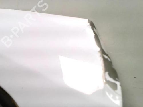 Left rear door DACIA SANDERO 1.2 16V | BP27665586C4