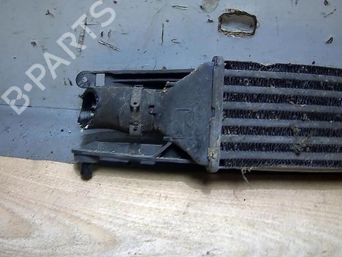 Intercooler FIAT GRANDE PUNTO (199_) 1.3 D Multijet (75 hp) 31225425