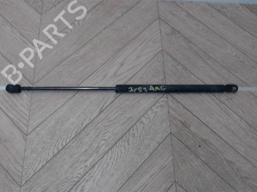Heckklappendämpfer für RENAULT SCÉNIC II (JM0/1_) 1.5 dCi (JM1E, JM16) (106 hp) 25388440