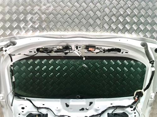 Tailgate CITROËN DS4 (NX_) 1.6 HDi 110 | BP31224660C6