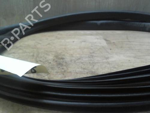 Used Rubber door seal RENAULT SCÉNIC III (JZ0/1_) 1.5 dCi (110 hp) 31231835