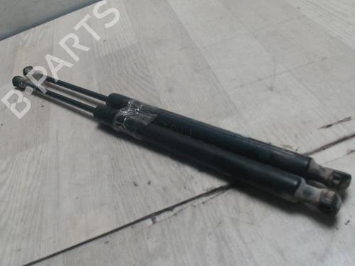 Used Tailgate lift support DACIA SANDERO 1.5 dCi (88 hp) 25425845