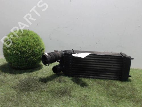 Intercooler PEUGEOT 207 (WA_, WC_) 1.6 HDi (92 hp) 31218863